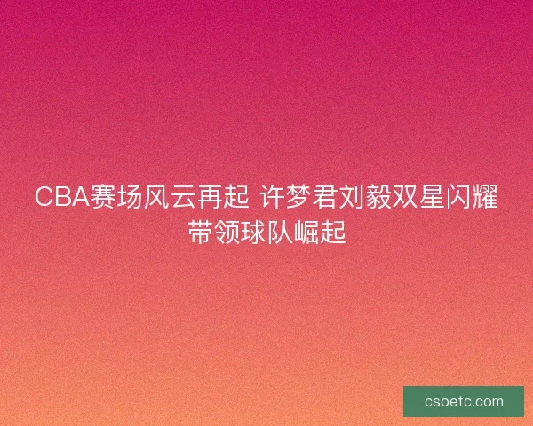 CBA赛场风云再起 许梦君刘毅双星闪耀带领球队崛起