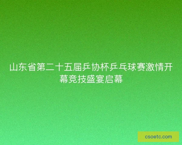 山东省第二十五届乒协杯乒乓球赛激情开幕竞技盛宴启幕