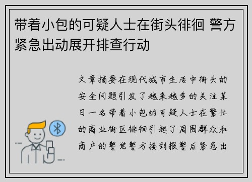 带着小包的可疑人士在街头徘徊 警方紧急出动展开排查行动